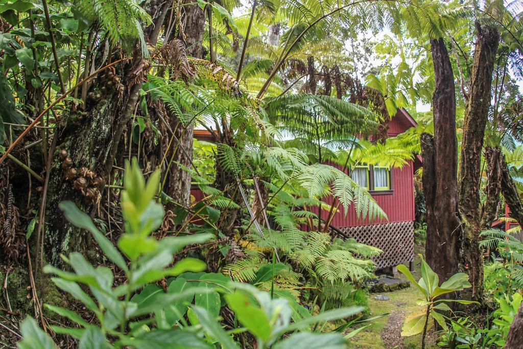 Ferny Hollow: Romantic Rainforest Cottage Volcano Dış mekan fotoğraf