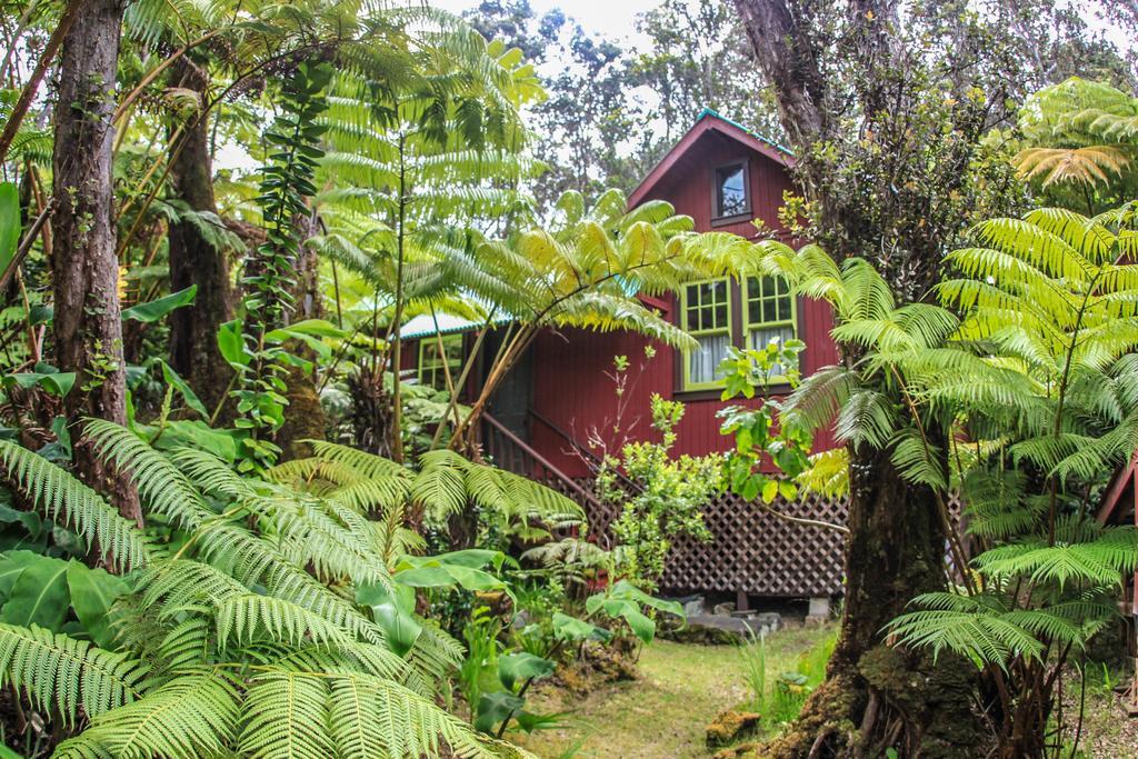Ferny Hollow: Romantic Rainforest Cottage Volcano Dış mekan fotoğraf